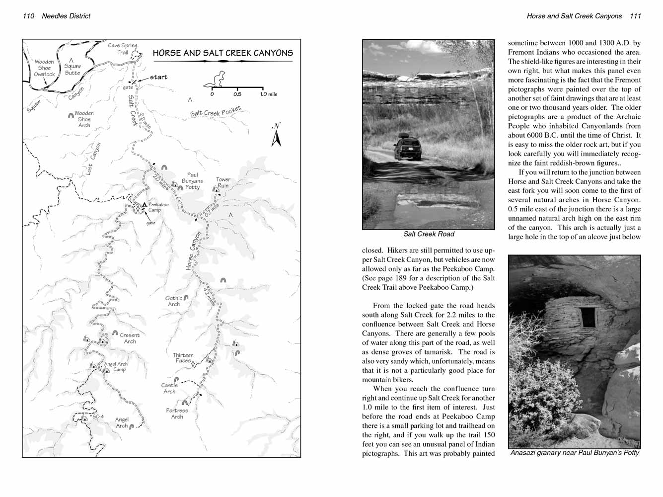 Horse Canyon and Salt Creek Canyon, Canyonlands National Park