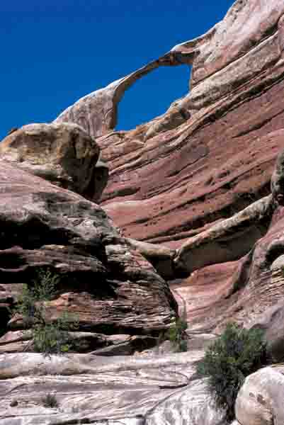 Canyonlands national park favorite jeep roads hiking trails #4