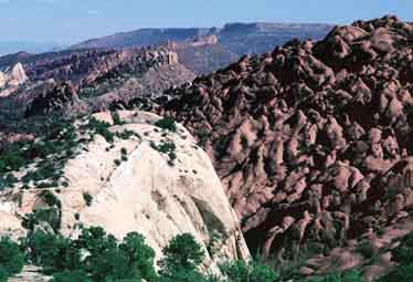muley twist canyon