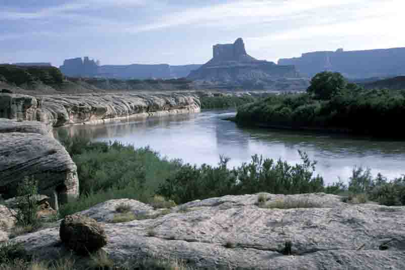 Beaver Bottom, White Rim Road